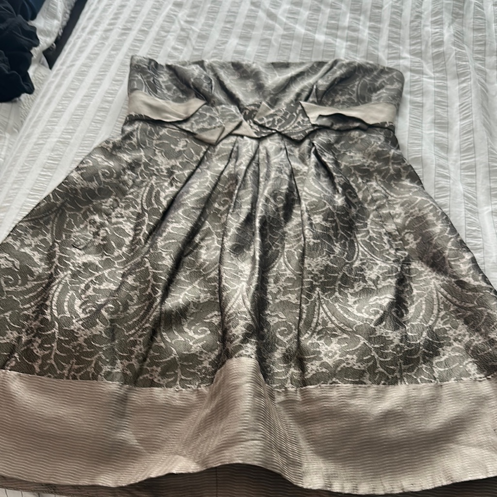 Bcbgmaxazria Chic Beige Dress